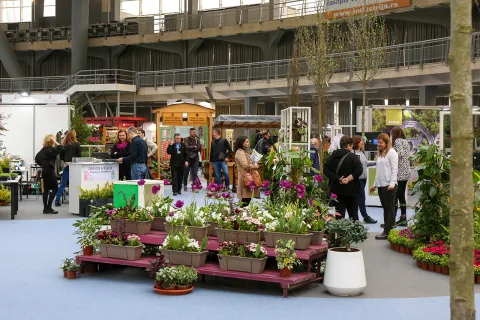 展会现场 6