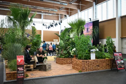 Onsite image 13