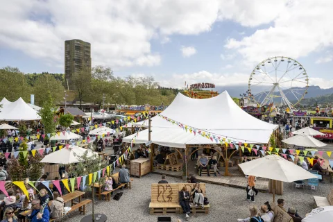 Onsite image 13