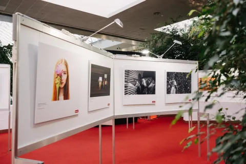 Onsite image 7