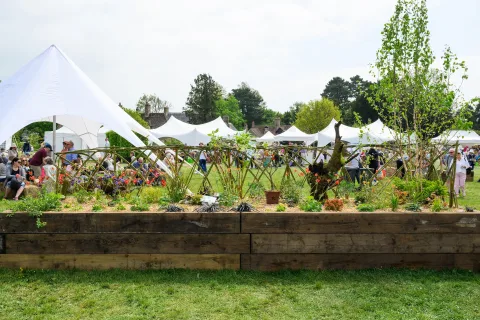 Onsite image 2