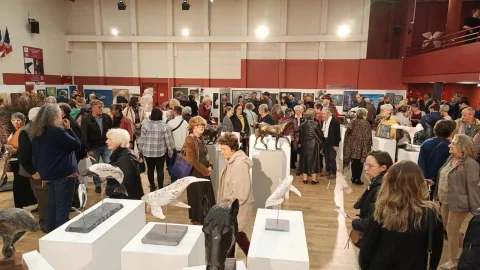 Onsite image 2