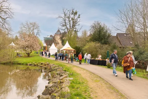 Onsite image 9