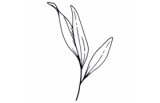 2027比利时瓦隆大区Event Wallonia会展活动产业展览会