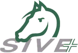 2027 SIVE INTERNATIONAL CONGRESS