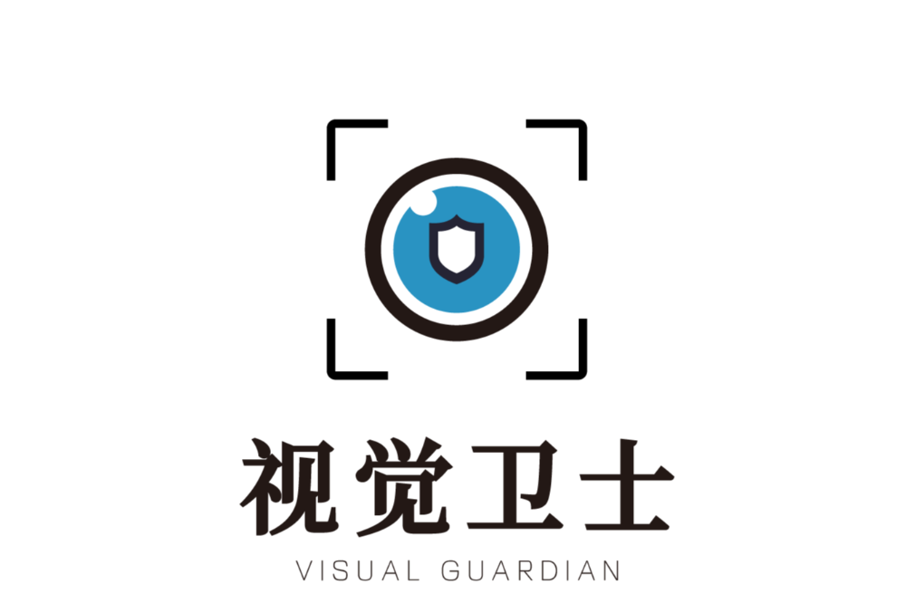 上海视盾信息技术有限公司