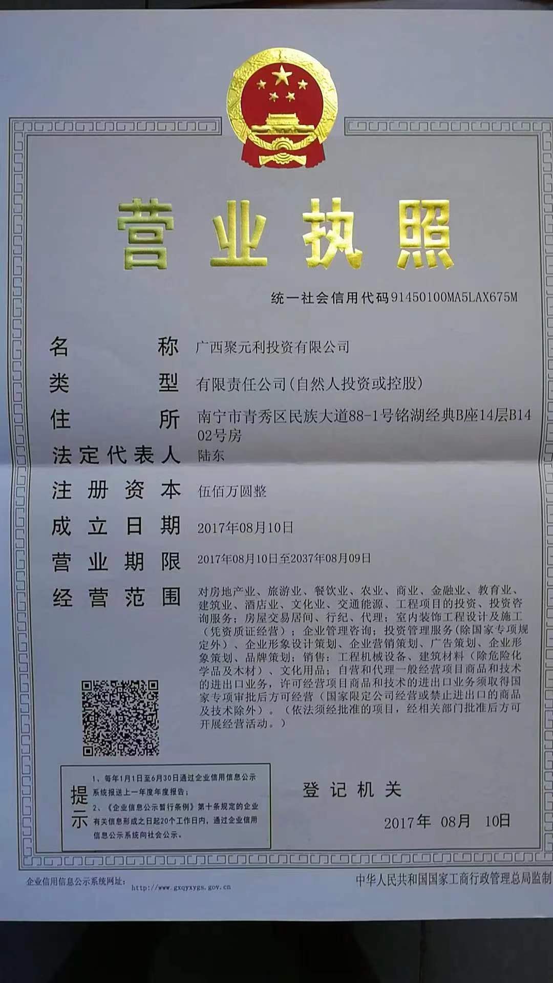 广西聚元利投资有限公司