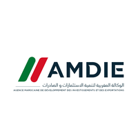 AMDIE