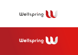 WELLSPRING INTERNATIONAL TRADING CORP