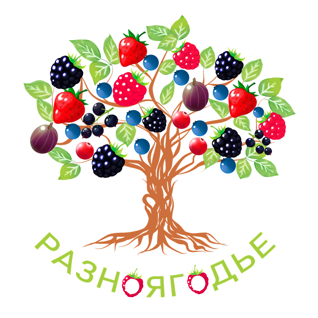 РАЗНОЯГОДЬЕ