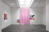 Bold Gallery