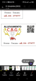 Allevamento C.B.G