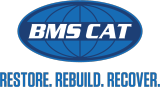 BMS CAT LLC
