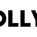 Hollyland