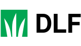 DLF