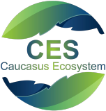 Cesystem