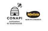 MIELIZIA