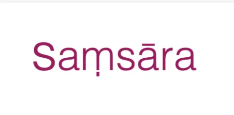 Samsara 产品图 1