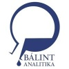 Bálint Analitika Kft.