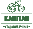 Каштан