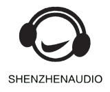 Shenzhen Audio