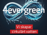 4evergreen