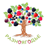 РАЗНОЯГОДЬЕ