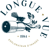 Longue-vue