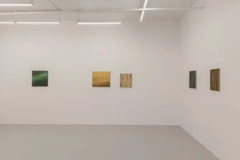 Instituto de visión 产品图 1