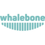 Whalebone