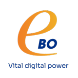 e-BO ENTERPRISES