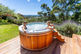 Alpine Spas