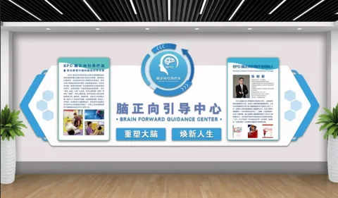 上海爱彼姆健康管理咨询有限公司 产品图 1