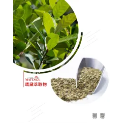 PRIORITY HEALTHFOOD CORPORATION product image 2