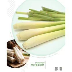 PRIORITY HEALTHFOOD CORPORATION product image 3
