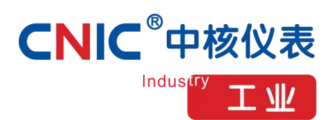 武汉中核仪表有限公司 product image 1
