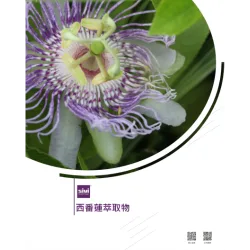 PRIORITY HEALTHFOOD CORPORATION product image 1