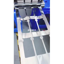 DONGGUANZHANYEMOULDCO.,LTD. product image 3