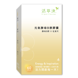 VIGOR YOUNG CO., LTD. - 1