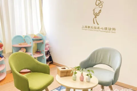 上海潮乐临床心理诊所 Shanghai Chaole Clinical Psychology Clinic 产品图 2