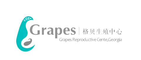 格贝生殖 product image 1