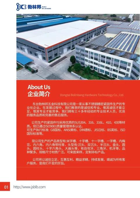 东台勃林邦五金科技有限公司 产品图 1