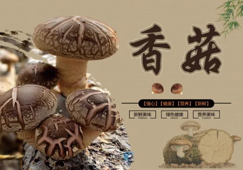 福建三友食品有限公司 product image 4