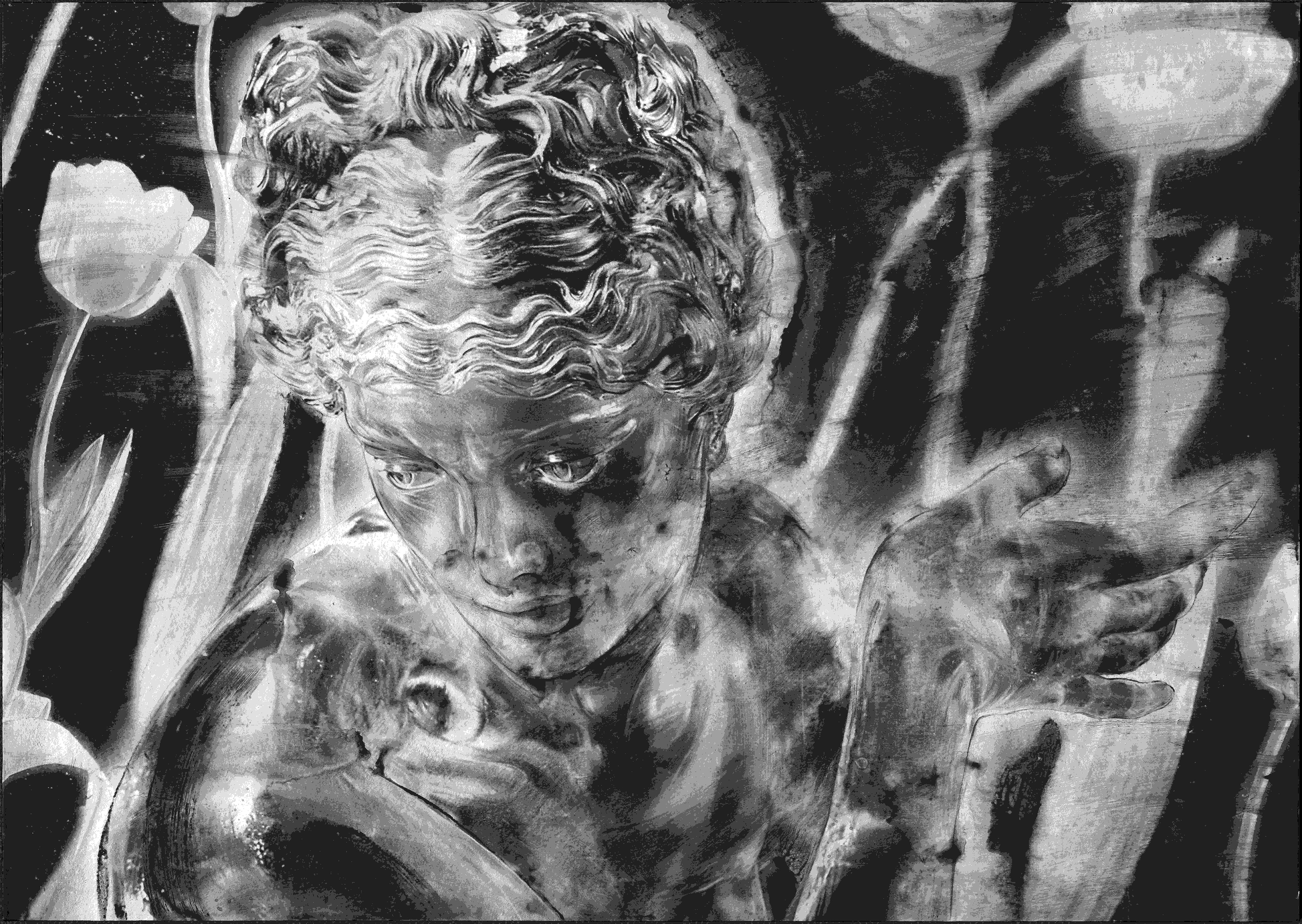 Apollo Art Gallery product image 1