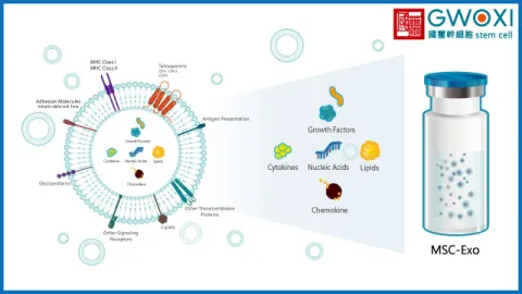 GWO XI Stem Cell Applied Technology Co.,Ltd product image 2