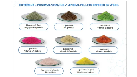 West Bengal Chemical Industries Limited product image 1
