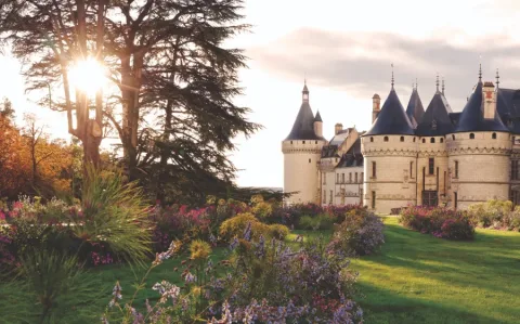 Domaine de Chaumont-sur-Loire Hôtel Le Bois des chambres 产品图 3