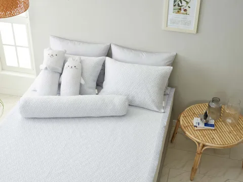 Welcron Co., Ltd. product image 3