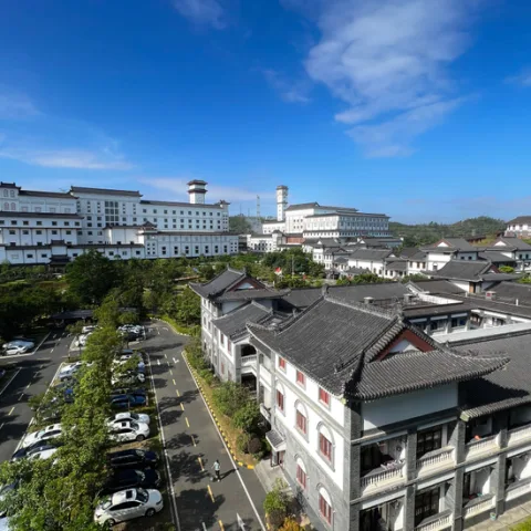 Dynagreen Environmental Protection Group Co., Ltd. product image 1