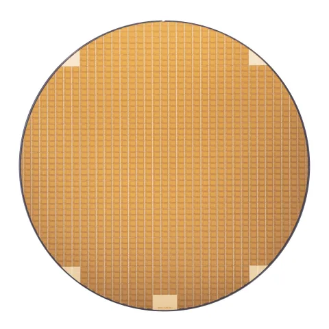 SAPIEN Semiconductors product image 3